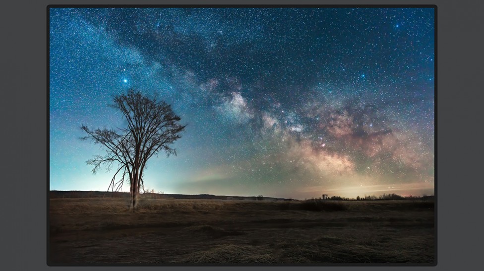 The Milky Way above an Elm tree in Hillsborough, NB, by Don Lewis